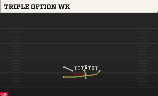 Triple Option WK play art