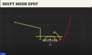 Shift Mesh Spot play art