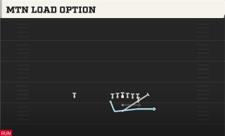 Mtn Load Option play art