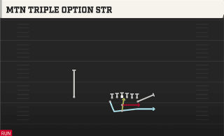 Mtn Triple Option STR play art