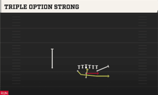 Triple Option Strong play art