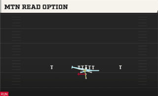 Mtn Read Option play art