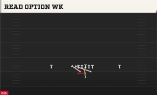 Read Option WK play art