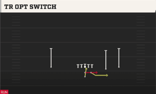 Tr Opt Switch play art