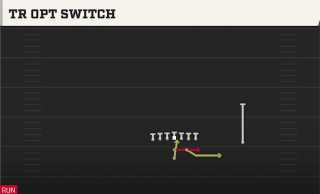 Tr Opt Switch play art