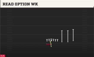 Read Option WK play art
