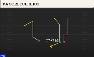 PA Stretch Shot play art