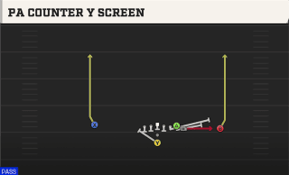PA Counter Y Screen play art