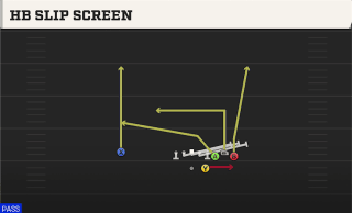 HB Slip Screen play art