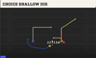 Choice Shallow Dig play art