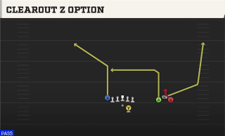 Clearout Z Option play art