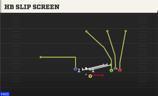 HB Slip Screen play art