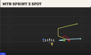 Mtn Sprint Z Spot play art