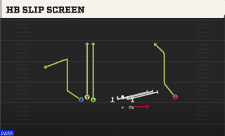 HB Slip Screen play art