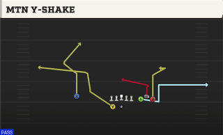 Mtn Y-Shake play art