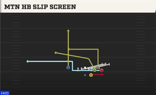 Mtn HB Slip Screen play art