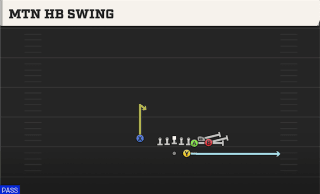 Mtn HB Swing play art