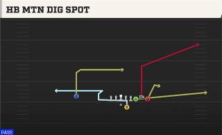 HB Mtn Dig Spot play art
