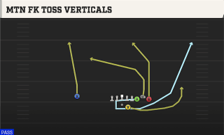 Mtn Fk Toss Verticals play art