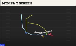 Mtn PA Y Screen play art