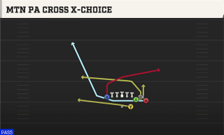 Mtn PA Cross X-Choice play art