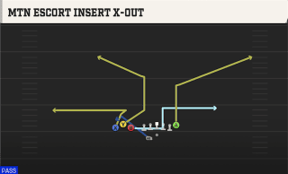 Mtn Escort Insert X-Out play art
