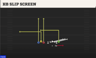HB Slip Screen play art