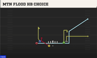Mtn Flood HB Choice play art