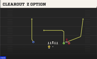 Clearout Z Option play art