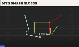 Mtn Smash Sluggo play art