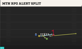 Mtn RPO Alert Split play art