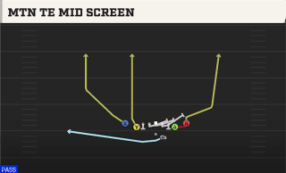 Mtn TE Mid Screen play art
