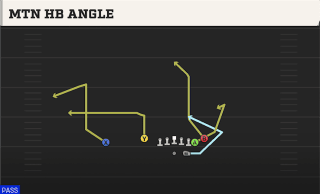 Mtn HB Angle play art