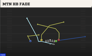 Mtn HB Fade play art