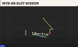 Mtn HB Slot Screen play art