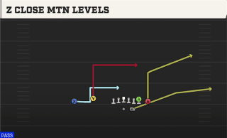 Z Close Mtn Levels play art