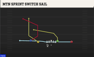 Mtn Sprint Switch Sail play art