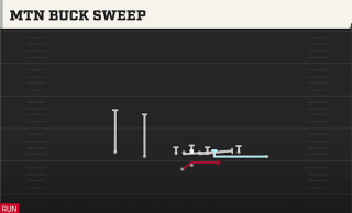 Mtn Buck Sweep play art