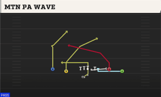 Mtn PA Wave play art