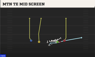 Mtn TE Mid Screen play art