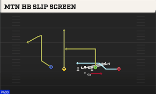 Mtn HB Slip Screen play art