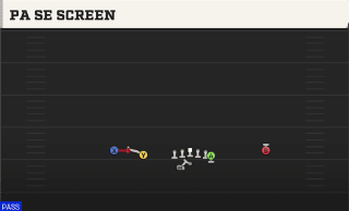 PA Se Screen play art