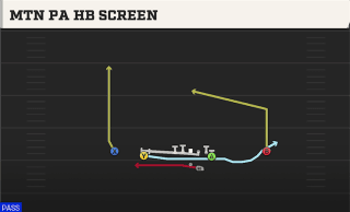 Mtn PA HB Screen play art