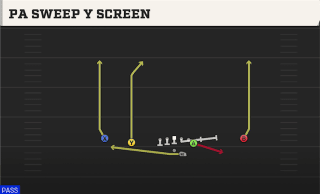 PA Sweep Y Screen play art