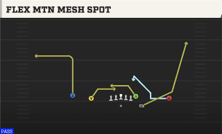 Flex Mtn Mesh Spot play art