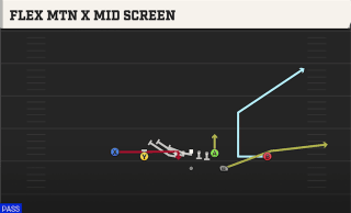 Flex Mtn X Mid Screen play art