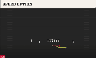 Speed Option play art