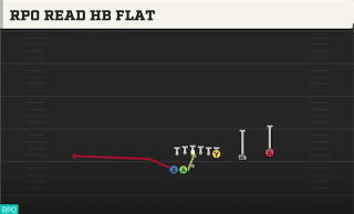 RPO Read HB Flat play art