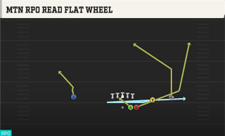Mtn RPO Read Flat Wheel play art