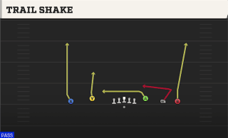 Trail Shake play art
